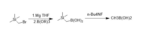 甲基硼酸(图1)