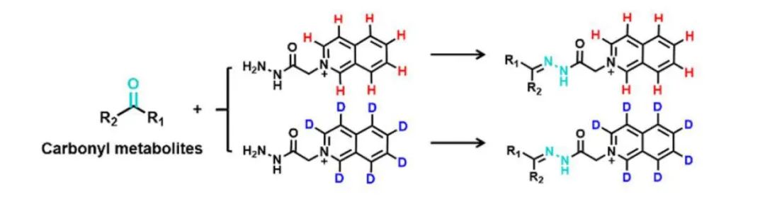 稳定同位素，如何联动代谢组学研究？(图2)