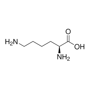 L-赖氨酸同位素标记