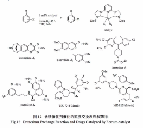 氘标记药物分子的合成进展(图11)