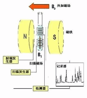 核磁共振波谱仪原理与使用指南(图6)